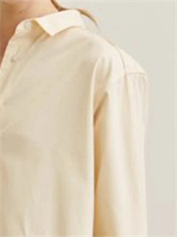 ربيع 2023 جديد شعار التطريز صورة ظلية قميص المرأة بدوره إلى أسفل طوق فضفاض كم طويل بسيط مكتب سيدة بلوزة