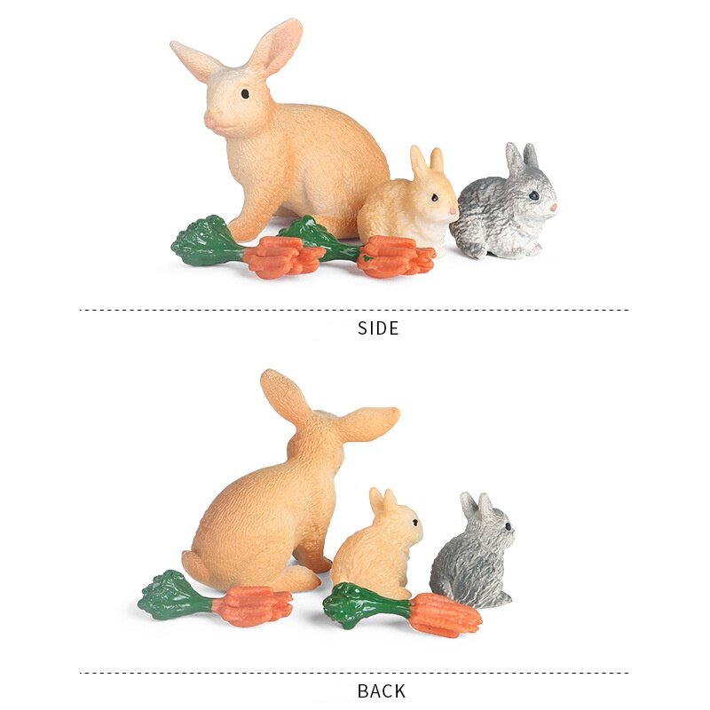 محاكاة نماذج للحيوانات حلية مجموعة الدواجن أرنب الأطفال اللعب المعرفية المشهد الصغير بونساي الزينة غريب #3
