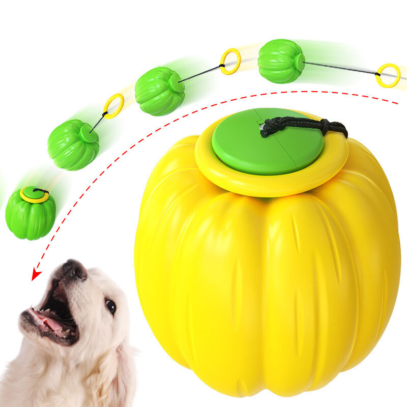 لعب الكلب للمضغ العدوانية TPR شكل اليقطين دائم اليد إرم التفاعلية غير قابل للتدمير هالوين الكلب اللعب الملحقات
