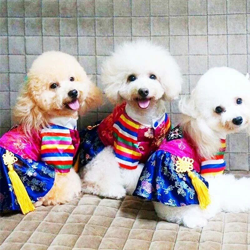 ملابس الحيوانات الأليفة الوطنية الكورية التقليدية المطرزة المحكمة الهانبوك الكلب الملابس للكلاب الصغيرة فتاة بوي جرو زي الكلب الملابس
