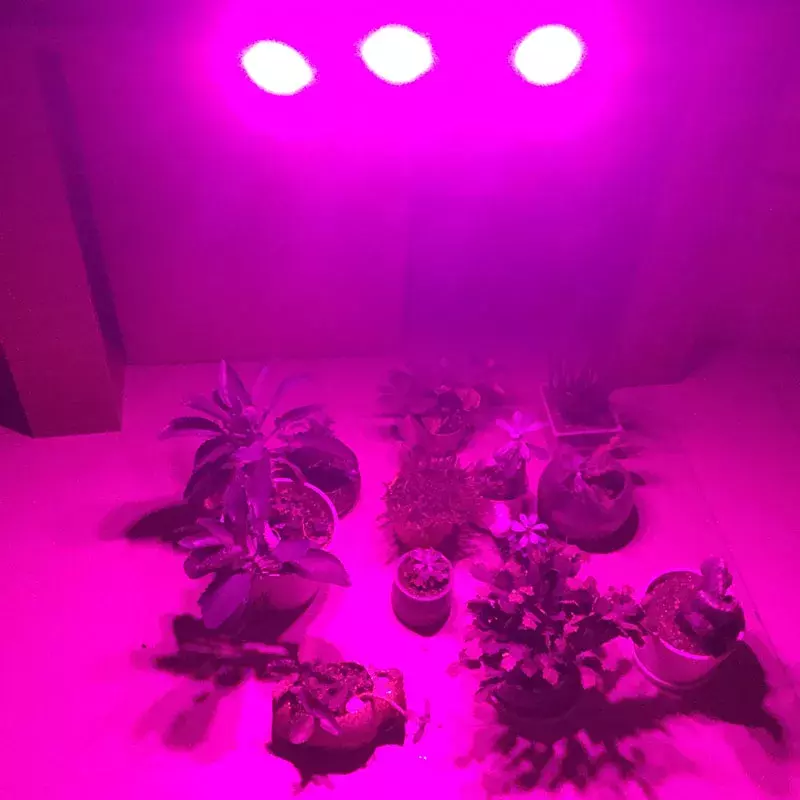 جديد 3 رئيس 60 80 LED النبات تنمو ضوء مصابيح فيتو مجموعة Fitolamp داخلي الدفيئة صندوق الزراعة خيمة تزايد الإضاءة ل هيدرو Growbox