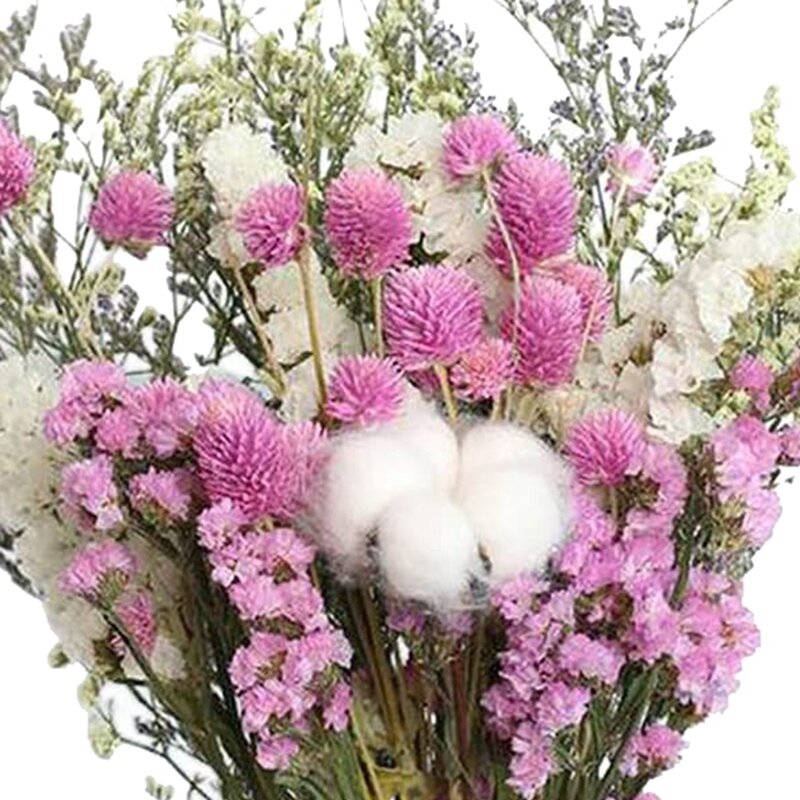 Natural Rose Cotton Eucalyptus Stems Dried Flower Branch For Farmhouse Style Antique Floral For Furniture Vase Tabletop