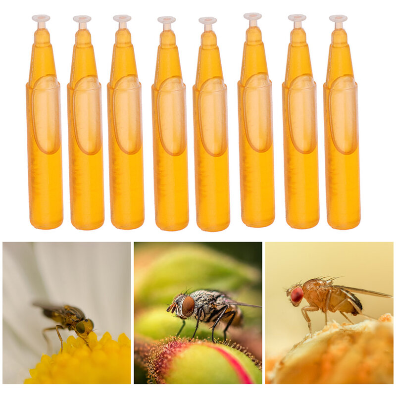 10 قطعة الفاكهة يطير جاذب 2 مللي فخ الطعم تربية النحل أدوات فيروس نقص المناعة البشرية القاتل بستان الحشرات طارد لوازم الربط أداة 2022 جديد