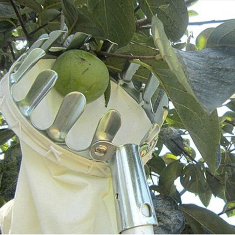 Fruit Picker Head Metal Farm Catcher Device Orchard Pear Peach Collection Picking Head Horticultural Garden Hand Tools