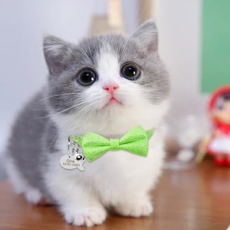 بلينغ دوت ربطة القوس فيونكة القط طوق شخصية اسم الأسماك شكل علامة القط طوق جرس مخصص اسم لطيف Bowknot القط طوق قلادة