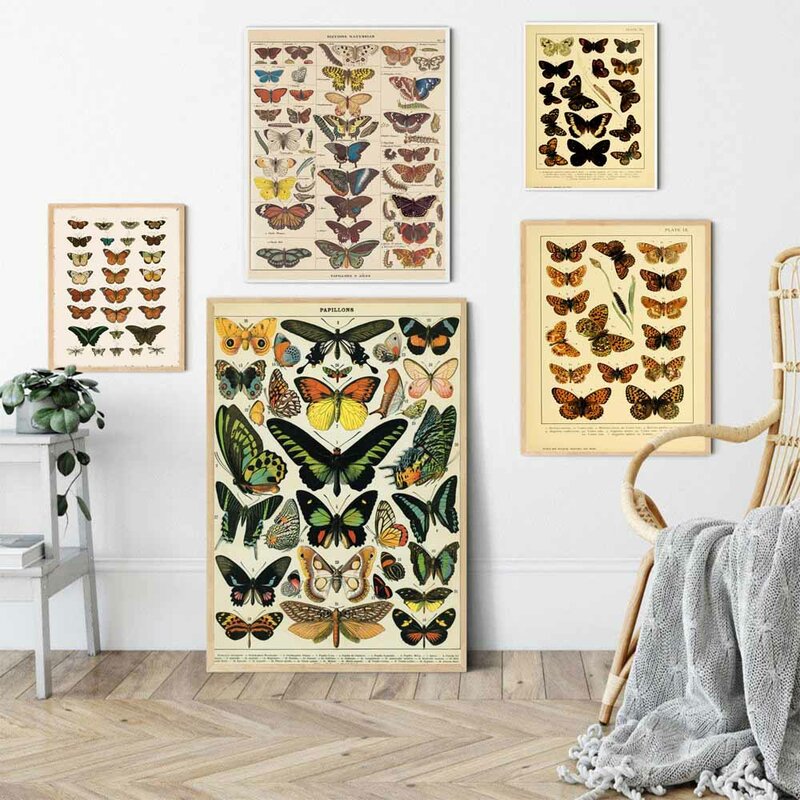 الرجعية الفن الحشرات تطور الطباعة قماش اللوحة جميلة فراشة الجدار ملصق فني مكتب غرفة المعيشة ديكور المنزل جدارية